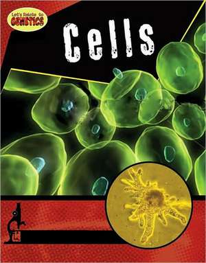 Cells de Marina Cohen