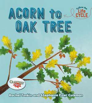 Acorn to Oak Tree de Rachel Tonkin