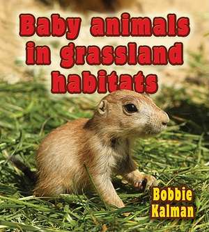 Baby Animals in Grassland Habitats de Bobbie Kalman