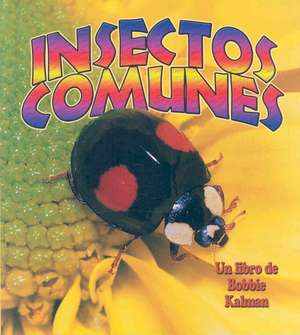 Insectos Comunes (Everyday Insects) de Bobbie Kalman
