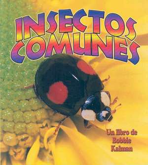 Insectos Comunes de Bobbie Kalman