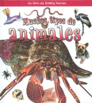 Muchos Tipos de Animales de Molly Aloian