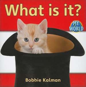 What Is It? de Bobbie Kalman