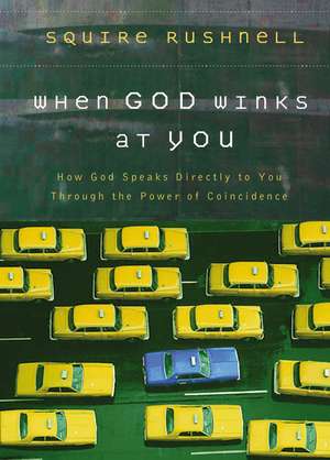 When God Winks at You: How God Speaks Directly to You Through the Power of Coincidence de Squire Rushnell