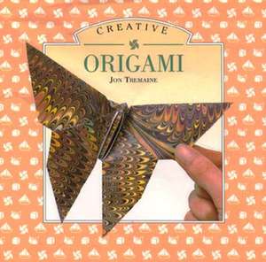 Little Book of Creative Origami de Jon Taemaine