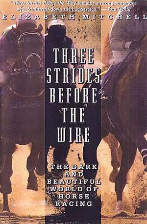 Three Strides Before The Wire: The Dark and Beautiful World of Horse Racing