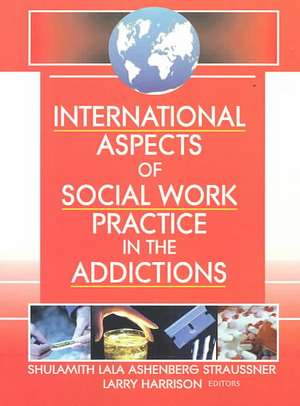 International Aspects of Social Work Practice in the Addictions de Shulamith L A Straussner