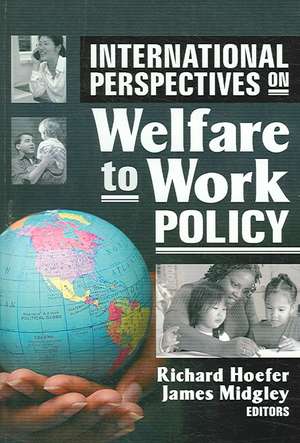 International Perspectives on Welfare to Work Policy de Richard Hoefer