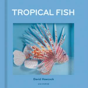 Tropical Fish: Pop-Up de David Hawcock