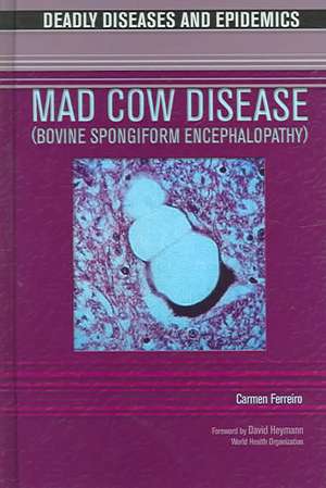 Mad Cow Disease de Carmen Ferreiro