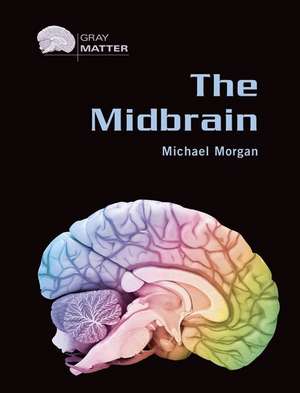 The Midbrain de Michael Morgan