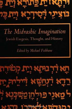 Midrashic Imagination: Jewish Exegesis, Thought, and History