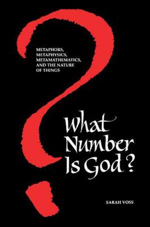 What Number Is God? de Sarah Voss