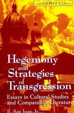 Hegemony and Strategies of Transgression: Essays in Cultural Studies and Comparative Literature de E. San Juan Jr