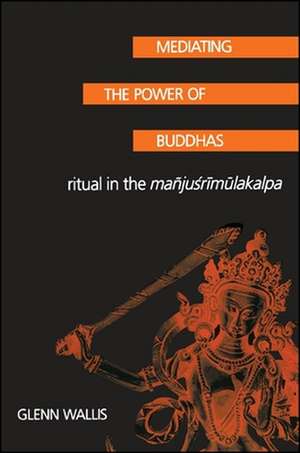 Mediating the Power of Buddhas de Glenn Wallis