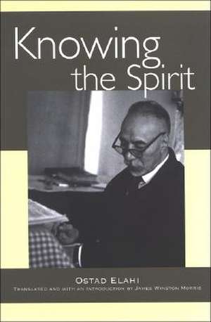Knowing the Spirit de Ostad Elahi