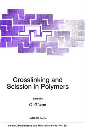 Crosslinking and Scission in Polymers de O. Güven