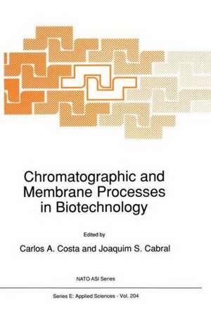 Chromatographic and Membrane Processes in Biotechnology de NATO Advanced Study Institute on Chromat