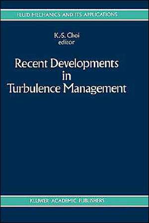 Recent Developments in Turbulence Management de K. S. Choi