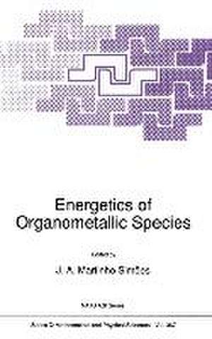 Energetics of Organometallic Species de Simoes J a Martinho