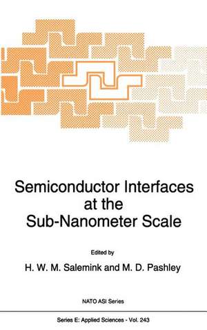 Semiconductor Interfaces at the Sub-Nanometer Scale de H.W.M Salemink