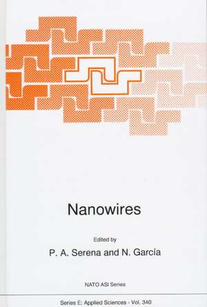 Nanowires de P.A. Serena