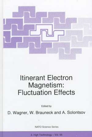 Itinerant Electron Magnetism: Fluctuation Effects de Dieter Wagner