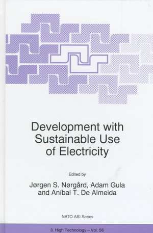 Development with Sustainable Use of Electricity de Jørgen S. Nørgård