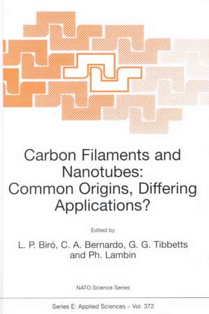 Carbon Filaments and Nanotubes: Common Origins, Differing Applications? de L.P. Biró