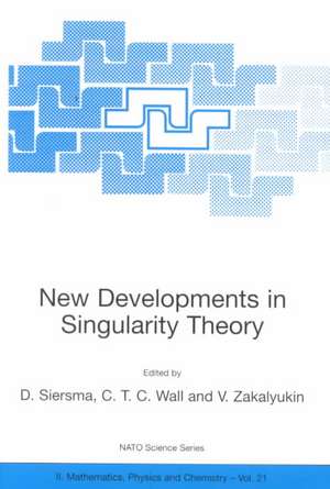 New Developments in Singularity Theory de Dirk Wiersma