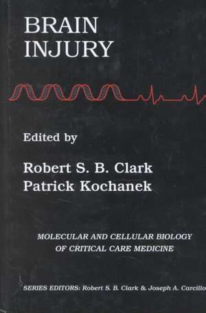 Brain Injury de Robert S.B. Clark