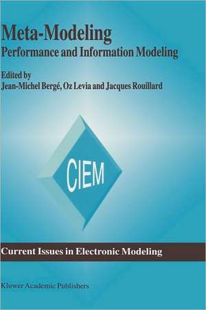 Meta-Modeling: Performance and Information Modeling de Jean-Michel Bergé