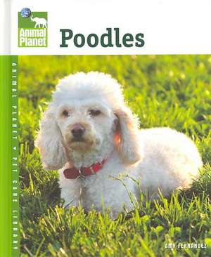 Poodles de Amy Fernandez