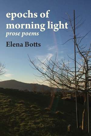 epochs of morning light de Elena Botts