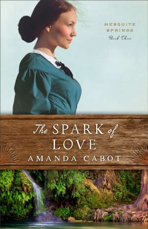 The Spark of Love de Amanda Cabot