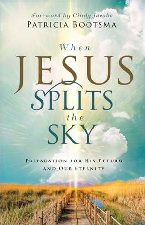 When Jesus Splits the Sky de Patricia Bootsma