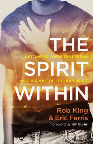 Spirit Within, The de Rob King