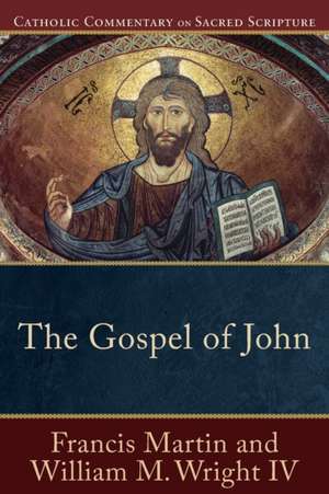 The Gospel of John de Francis Martin