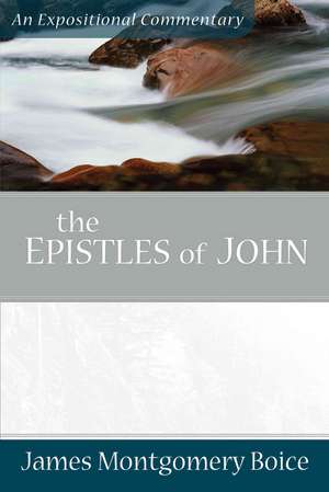 The Epistles of John de James Montgomer Boice