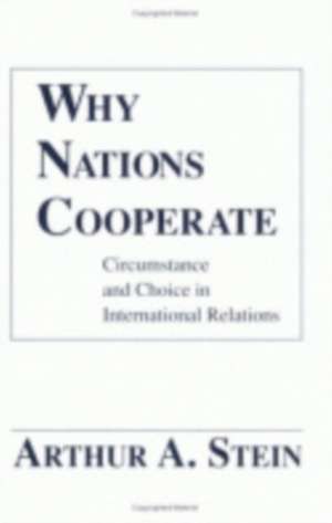 Why Nations Cooperate – Circumstance and Choice In International Relations de Arthur A. Stein