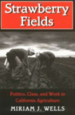 Strawberry Fields – Politics, Class, and Work in California Agriculture de Miriam J. Wells