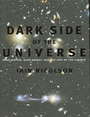 Dark Side of the Universe: Dark Matter, Dark Energy, and the Fate of the Cosmos de Iain Nicolson