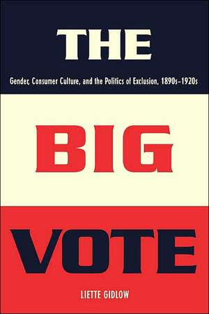 The Big Vote – Gender, Consumer Culture and the Politics of Exclusion 1890–1920s de Liette Gidlow