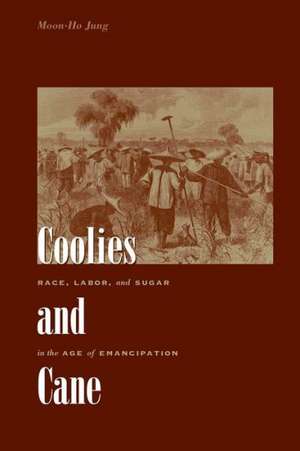 Coolies and Cane – Race, Labor, and Sugar in the Age of Emancipation de MH Jung