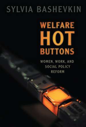 Welfare Hot Buttons de Sylvia Beth Bashevkin