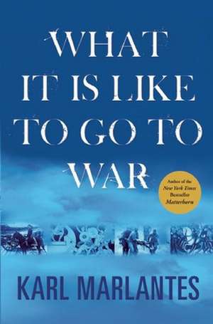 What It Is Like to Go to War de Karl Marlantes