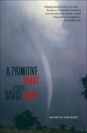 A Primitive Heart: Stories de David Rabe