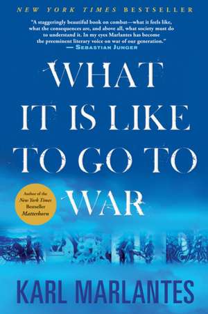 What It Is Like to Go to War de Karl Marlantes