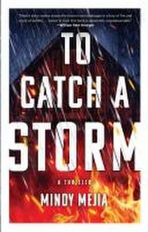 To Catch a Storm de Mindy Mejia