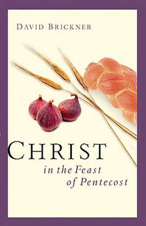 Christ in the Feast of Pentecost de David Brickner